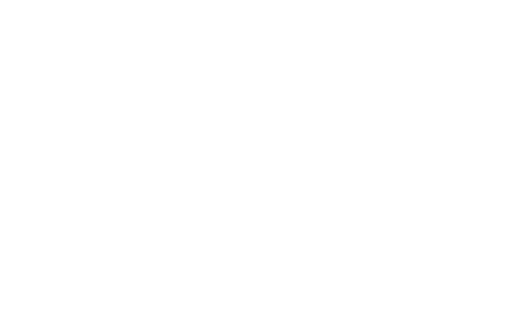 A51 logo